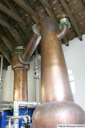 _u2p1537.jpg