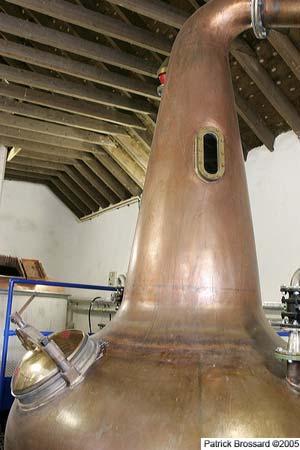 _u2p1567.jpg