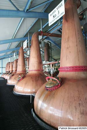 hu2p0909.jpg