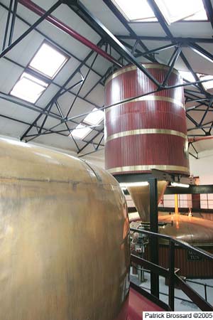 hu2p0978.jpg