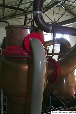 hu2p9835.jpg